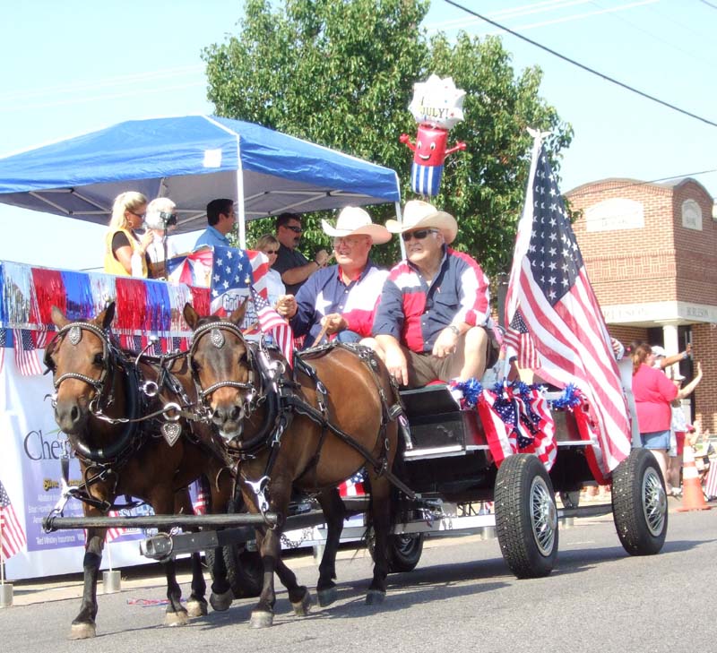 photo of horse drawn wagon